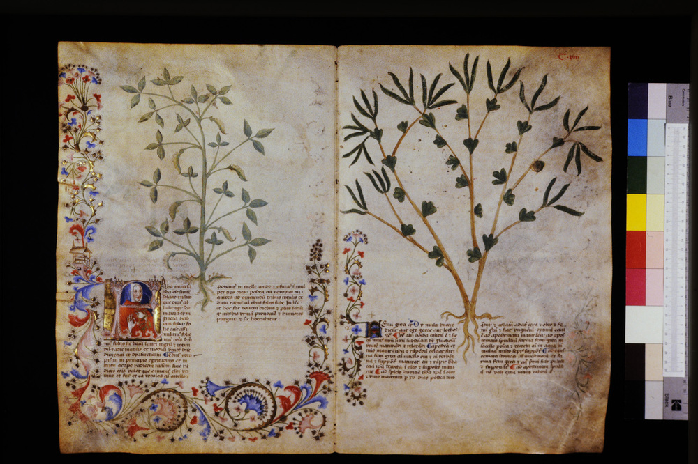 Roma, Biblioteca Casanatense, Ms. 459
icpal_29620
Keywords: Casanatense Ms. 459, Casanatense