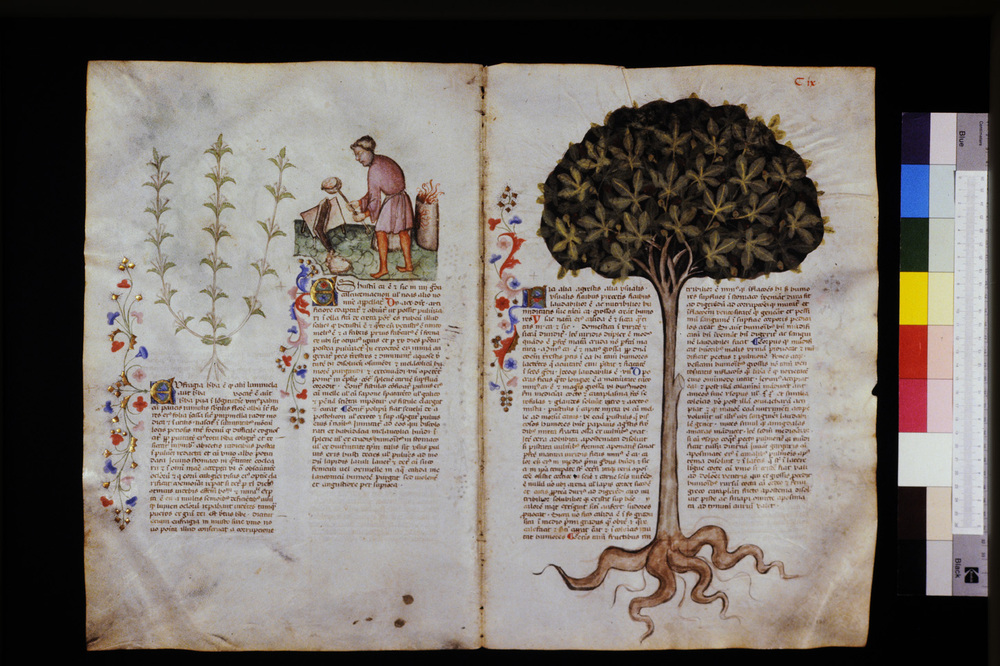 Roma, Biblioteca Casanatense, Ms. 459
icpal_29621
Keywords: Casanatense Ms. 459, Casanatense