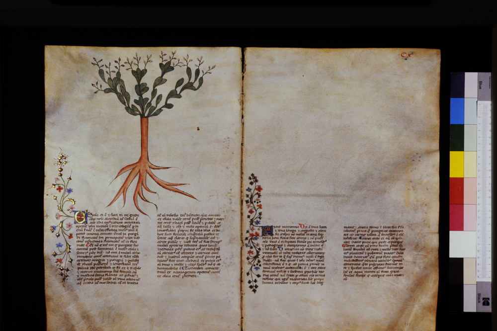 Roma, Biblioteca Casanatense, Ms. 459
icpal_29622
Keywords: Casanatense Ms. 459, Casanatense