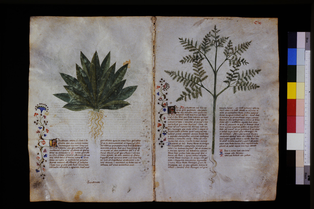 Roma, Biblioteca Casanatense, Ms. 459
icpal_29623
Keywords: Casanatense Ms. 459, Casanatense