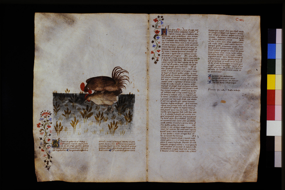Roma, Biblioteca Casanatense, Ms. 459
icpal_29625
Keywords: Casanatense Ms. 459, Casanatense