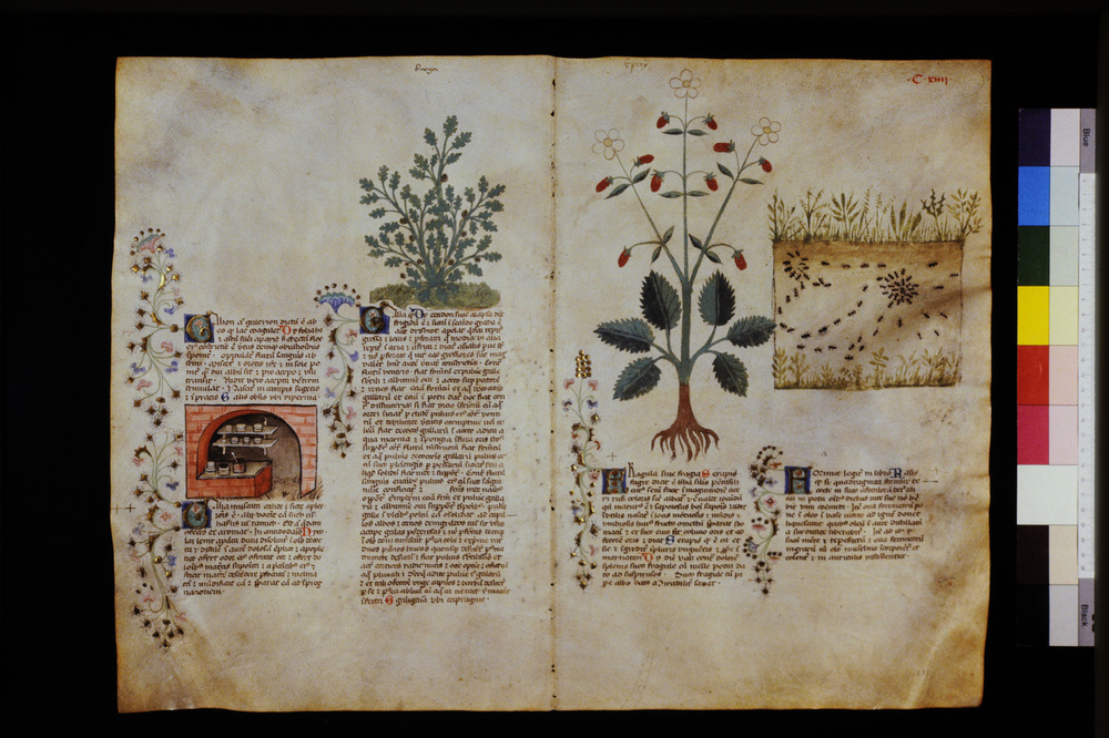 Roma, Biblioteca Casanatense, Ms. 459
icpal_29626
Keywords: Casanatense Ms. 459, Casanatense