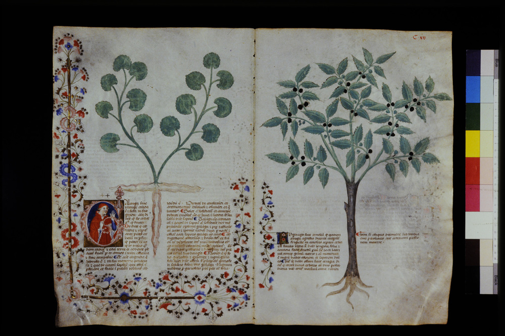 Roma, Biblioteca Casanatense, Ms. 459
icpal_29627
Keywords: Casanatense Ms. 459, Casanatense