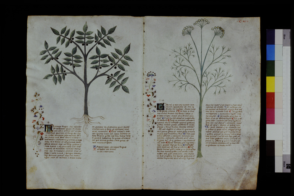 Roma, Biblioteca Casanatense, Ms. 459
icpal_29629
Keywords: Casanatense Ms. 459, Casanatense
