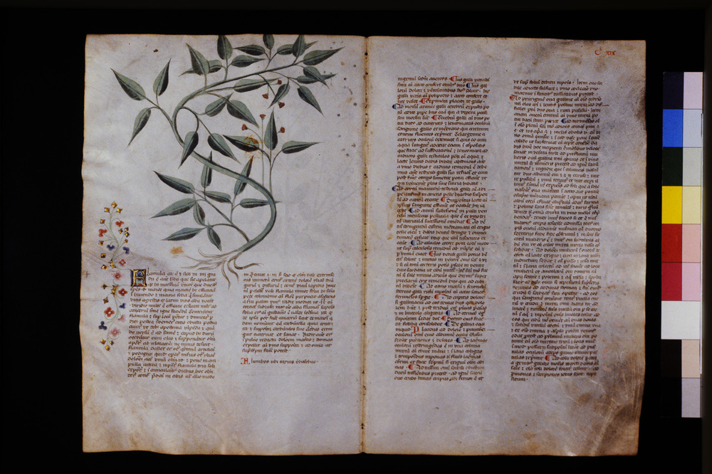 Roma, Biblioteca Casanatense, Ms. 459
icpal_29631
Keywords: Casanatense Ms. 459, Casanatense