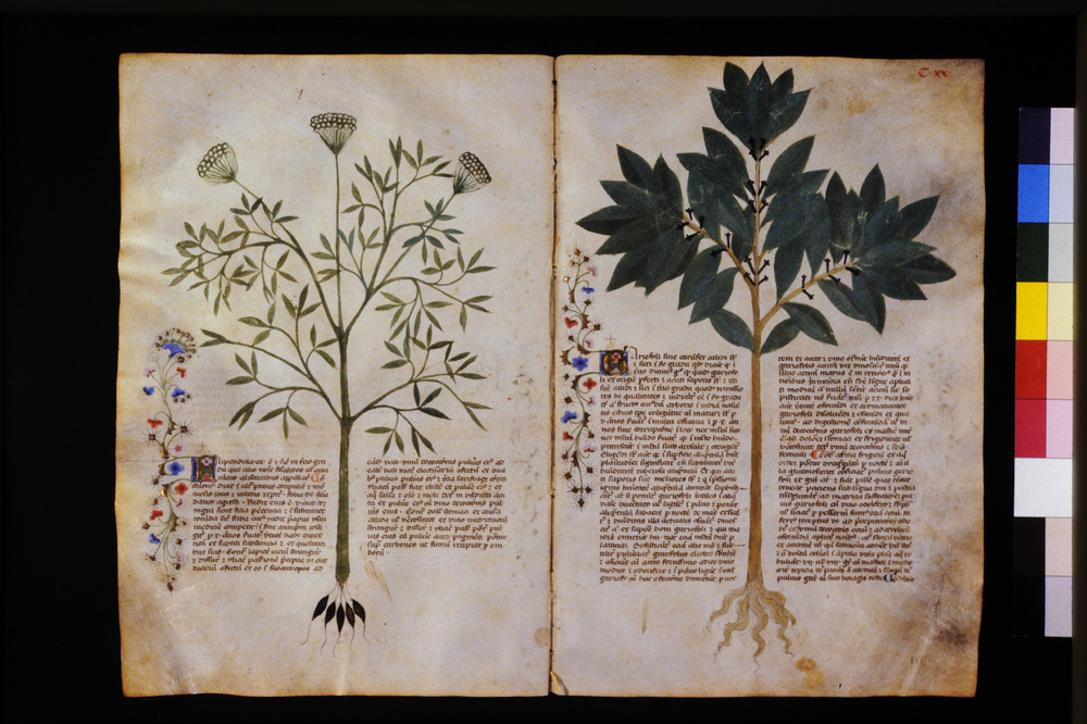 Roma, Biblioteca Casanatense, Ms. 459
icpal_29632
Keywords: Casanatense Ms. 459, Casanatense