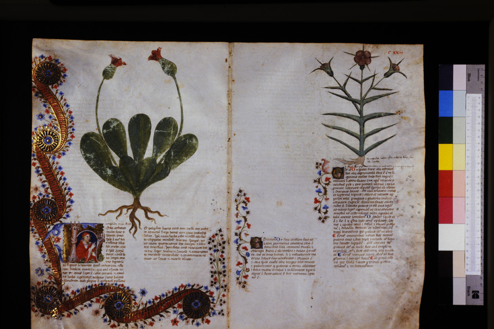 Roma, Biblioteca Casanatense, Ms. 459
icpal_29635
Keywords: Casanatense Ms. 459, Casanatense