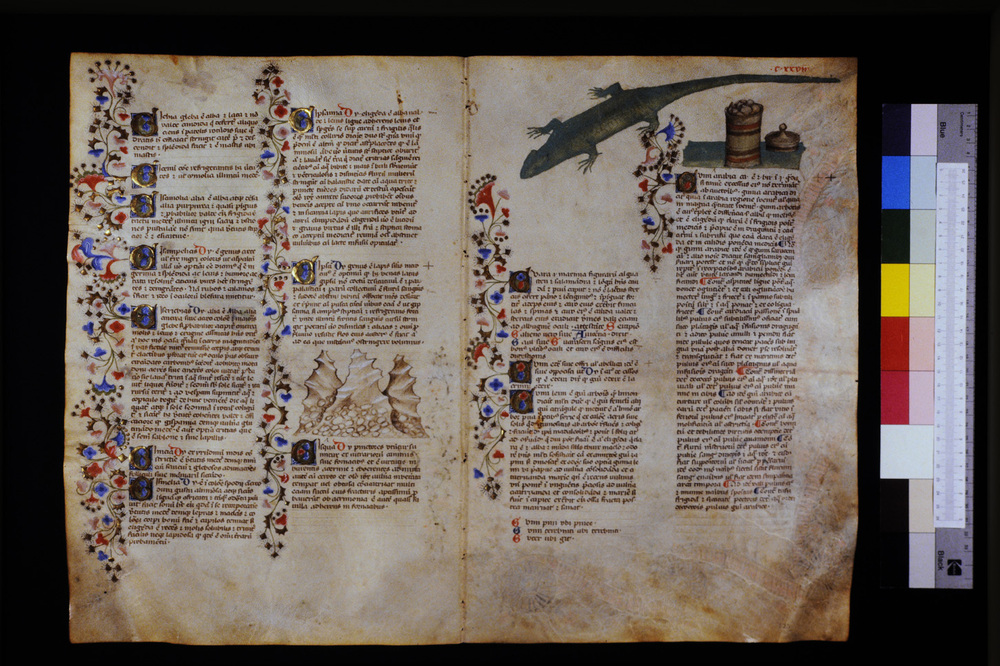 Roma, Biblioteca Casanatense, Ms. 459
icpal_29640
Keywords: Casanatense Ms. 459, Casanatense