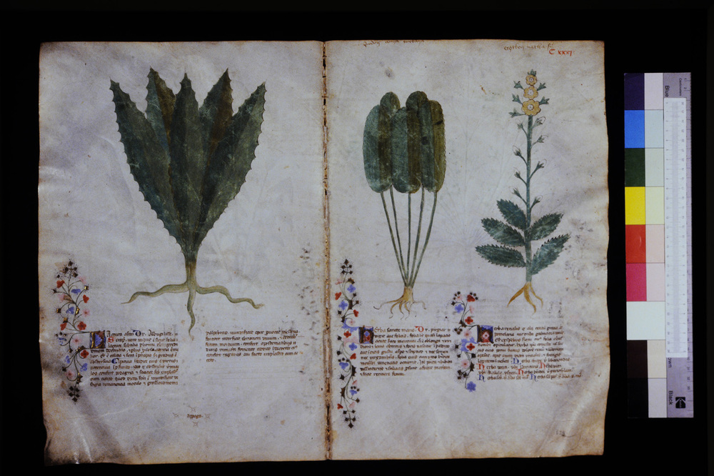 Roma, Biblioteca Casanatense, Ms. 459
icpal_29643
Keywords: Casanatense Ms. 459, Casanatense