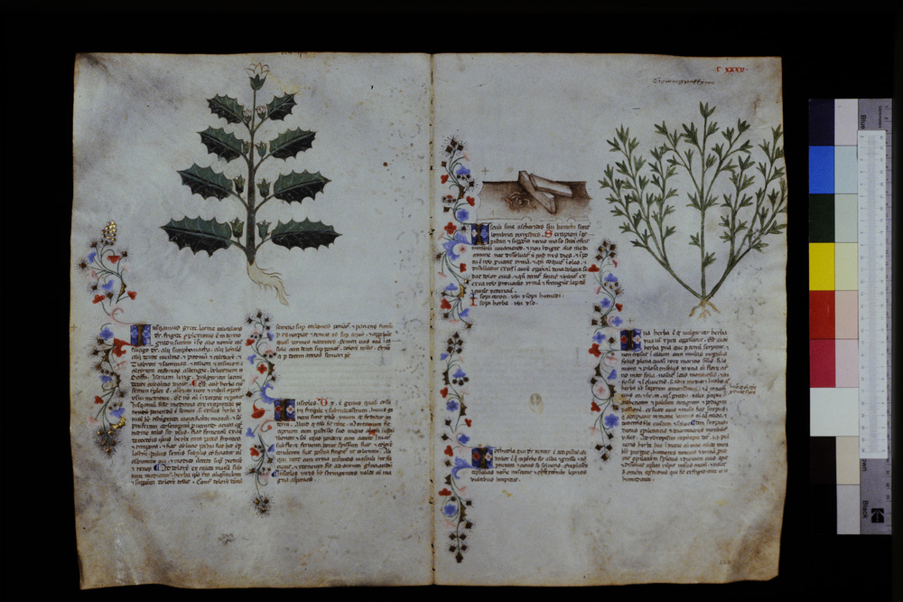 Roma, Biblioteca Casanatense, Ms. 459
icpal_29647
Keywords: Casanatense Ms. 459, Casanatense