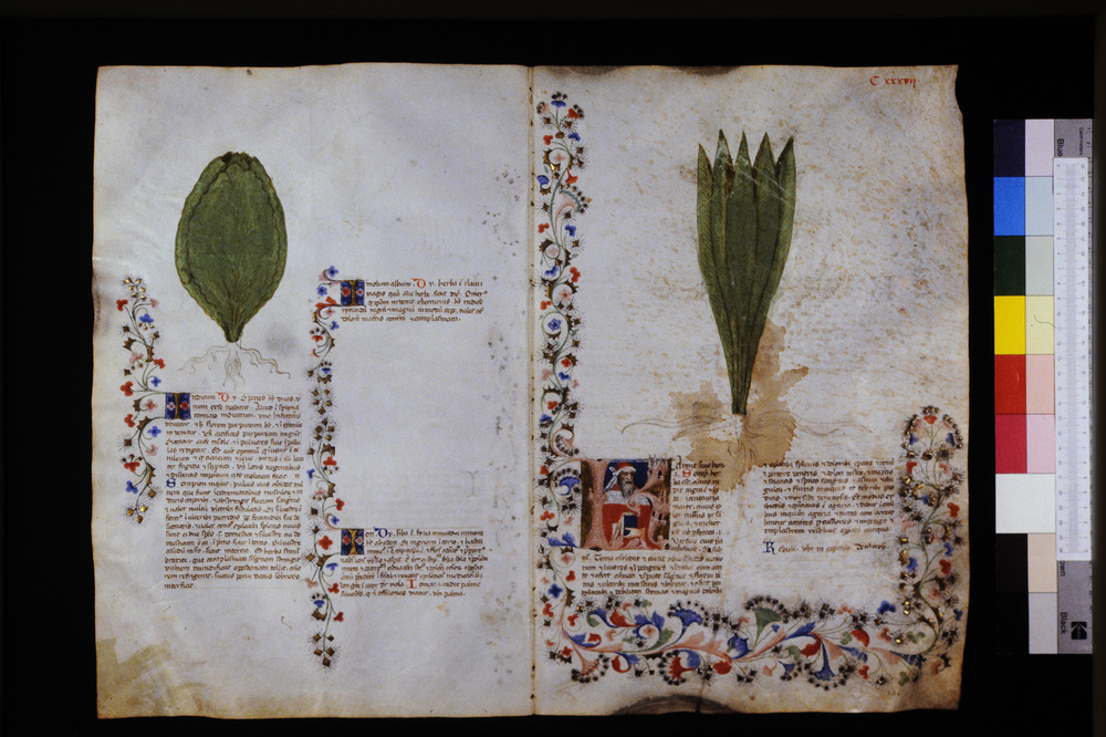 Roma, Biblioteca Casanatense, Ms. 459
icpal_29649
Keywords: Casanatense Ms. 459, Casanatense