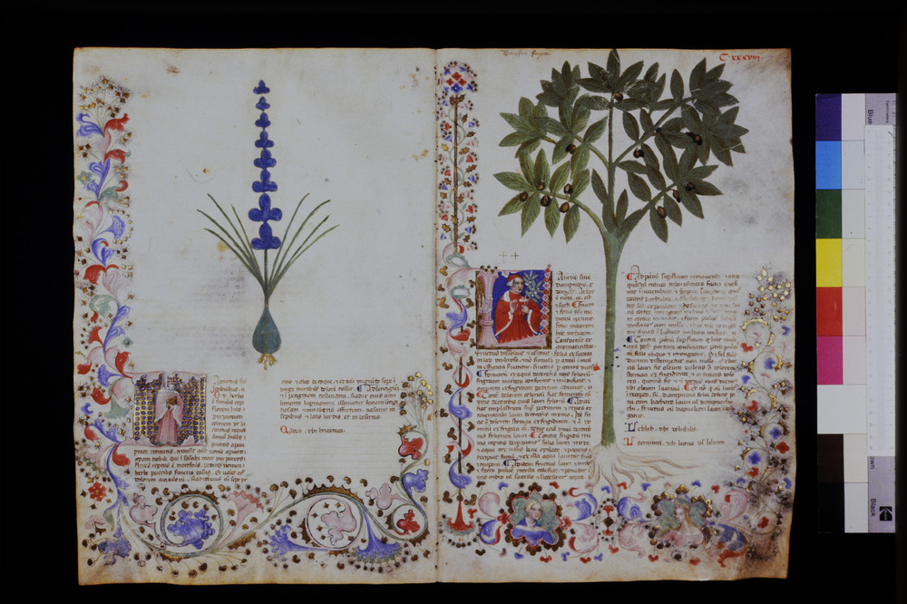 Roma, Biblioteca Casanatense, Ms. 459
icpal_29650
Keywords: Casanatense Ms. 459, Casanatense