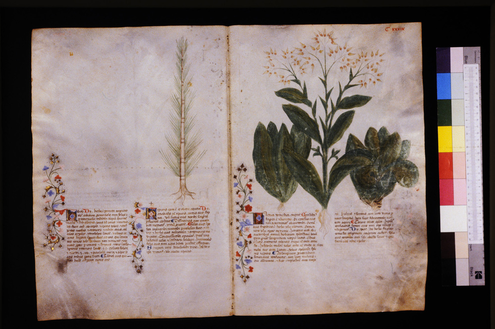 Roma, Biblioteca Casanatense, Ms. 459
icpal_29651
Keywords: Casanatense Ms. 459, Casanatense