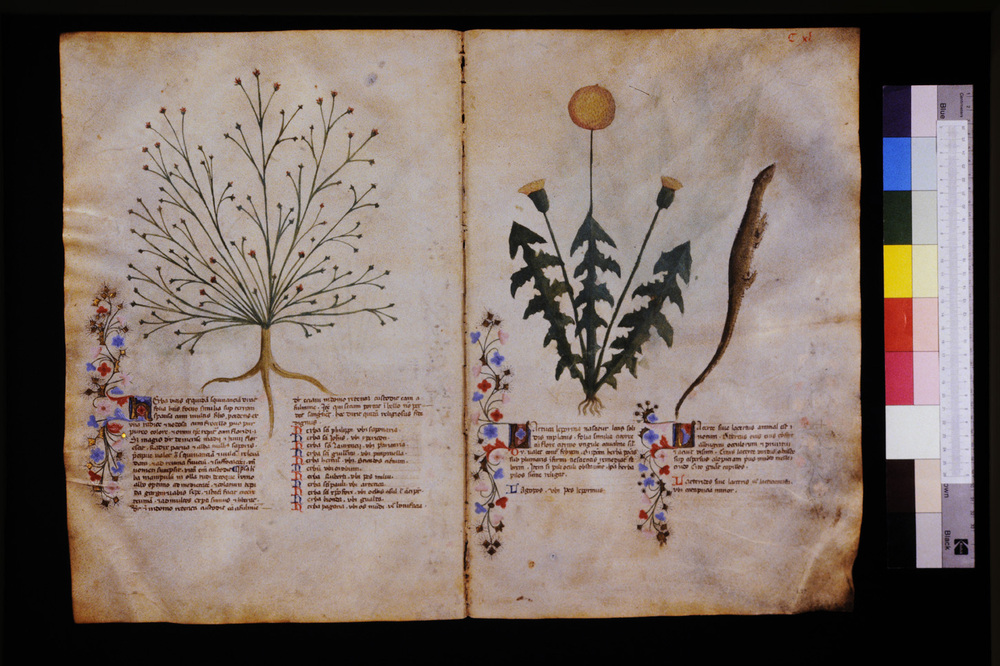 Roma, Biblioteca Casanatense, Ms. 459
icpal_29652
Keywords: Casanatense Ms. 459, Casanatense