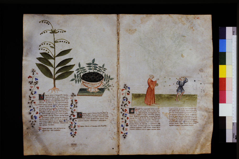 Roma, Biblioteca Casanatense, Ms. 459
icpal_29653
Keywords: Casanatense Ms. 459, Casanatense