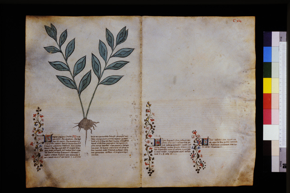 Roma, Biblioteca Casanatense, Ms. 459
icpal_29654
Keywords: Casanatense Ms. 459, Casanatense