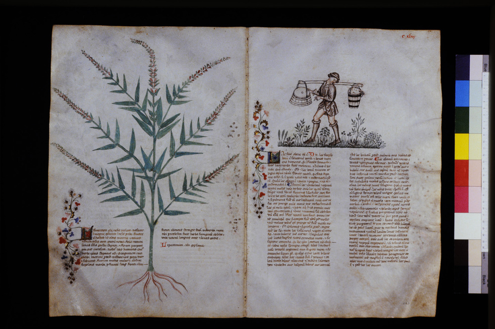 Roma, Biblioteca Casanatense, Ms. 459
icpal_29655
Keywords: Casanatense Ms. 459, Casanatense