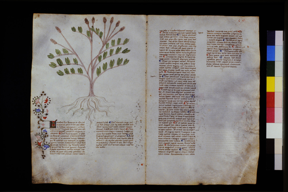 Roma, Biblioteca Casanatense, Ms. 459
icpal_29657
Keywords: Casanatense Ms. 459, Casanatense