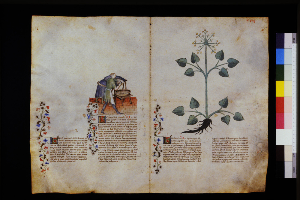 Roma, Biblioteca Casanatense, Ms. 459
icpal_29658
Keywords: Casanatense Ms. 459, Casanatense