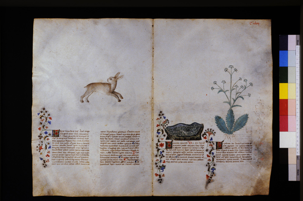 Roma, Biblioteca Casanatense, Ms. 459
icpal_29659
Keywords: Casanatense Ms. 459, Casanatense