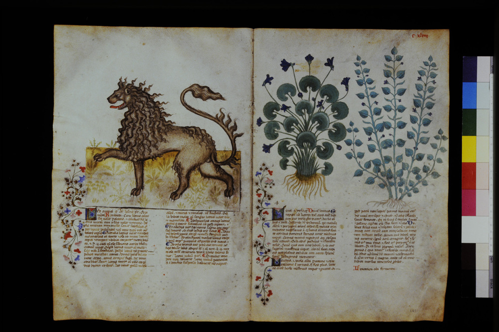 Roma, Biblioteca Casanatense, Ms. 459
icpal_29660
Keywords: Casanatense Ms. 459, Casanatense