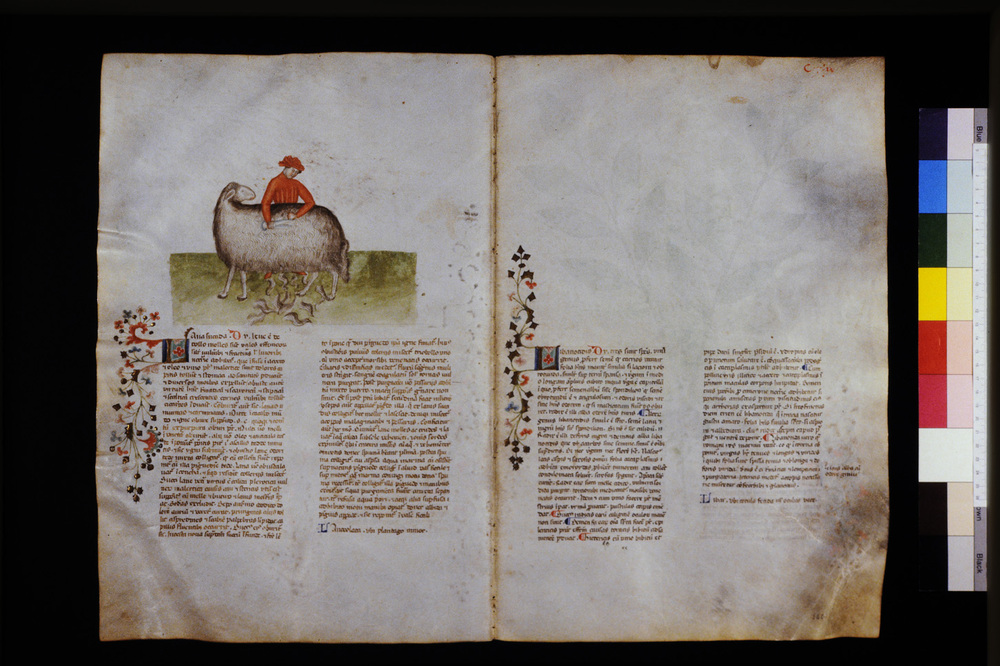 Roma, Biblioteca Casanatense, Ms. 459
icpal_29661
Keywords: Casanatense Ms. 459, Casanatense