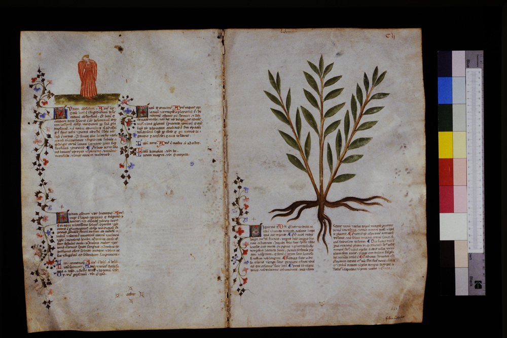 Roma, Biblioteca Casanatense, Ms. 459
icpal_29663
Keywords: Casanatense Ms. 459, Casanatense