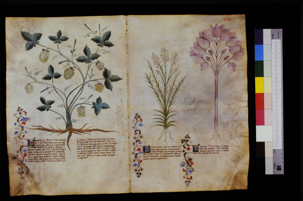 Roma, Biblioteca Casanatense, Ms. 459
icpal_29664
Keywords: Casanatense Ms. 459, Casanatense