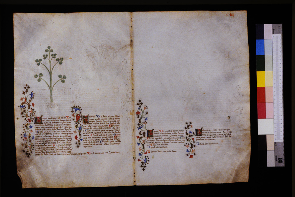 Roma, Biblioteca Casanatense, Ms. 459
icpal_29665
Keywords: Casanatense Ms. 459, Casanatense