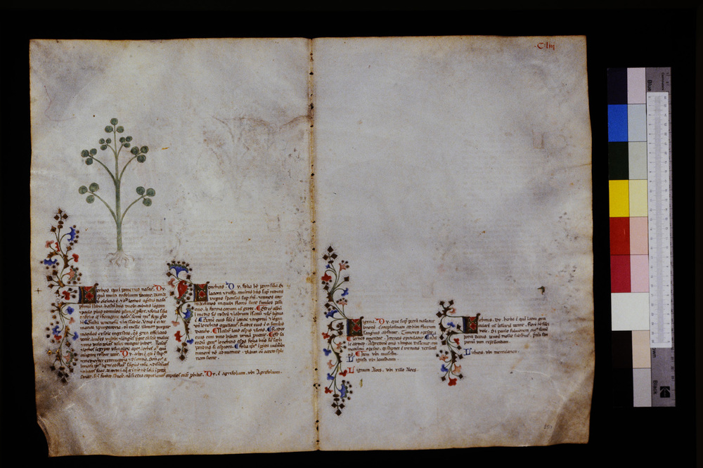 Roma, Biblioteca Casanatense, Ms. 459
icpal_29666
Keywords: Casanatense Ms. 459, Casanatense