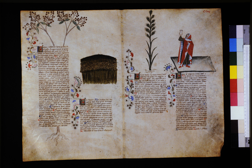 Roma, Biblioteca Casanatense, Ms. 459
icpal_29667
Keywords: Casanatense Ms. 459, Casanatense
