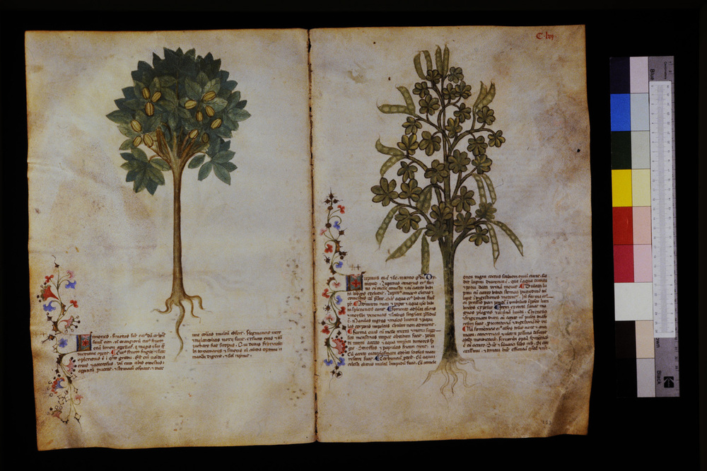 Roma, Biblioteca Casanatense, Ms. 459
icpal_29669
Keywords: Casanatense Ms. 459, Casanatense