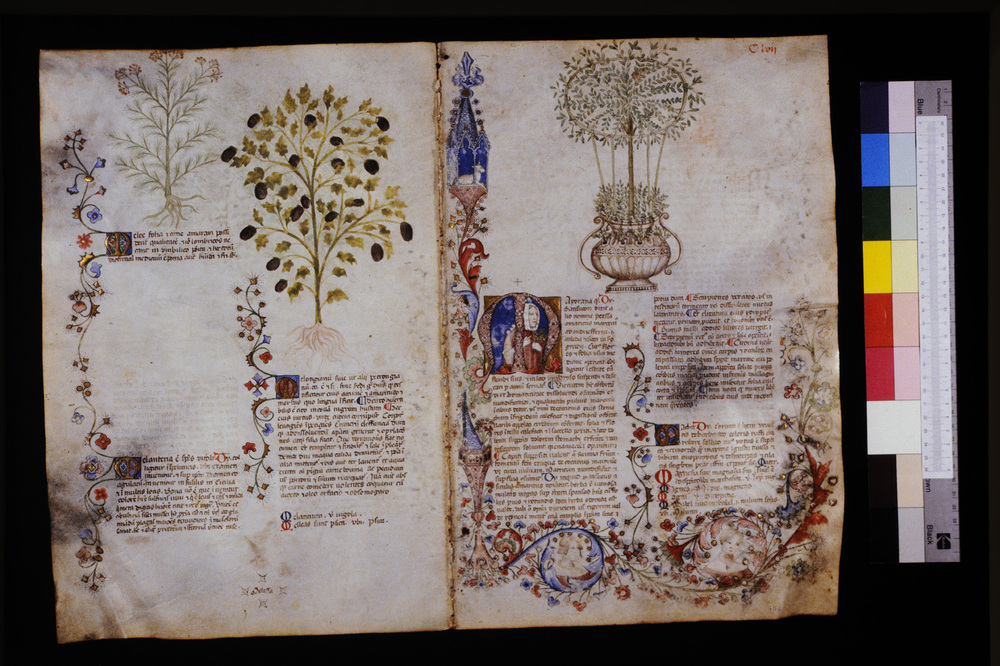 Roma, Biblioteca Casanatense, Ms. 459
icpal_29670
Keywords: Casanatense Ms. 459, Casanatense