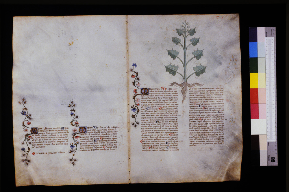 Roma, Biblioteca Casanatense, Ms. 459
icpal_29672
Keywords: Casanatense Ms. 459, Casanatense