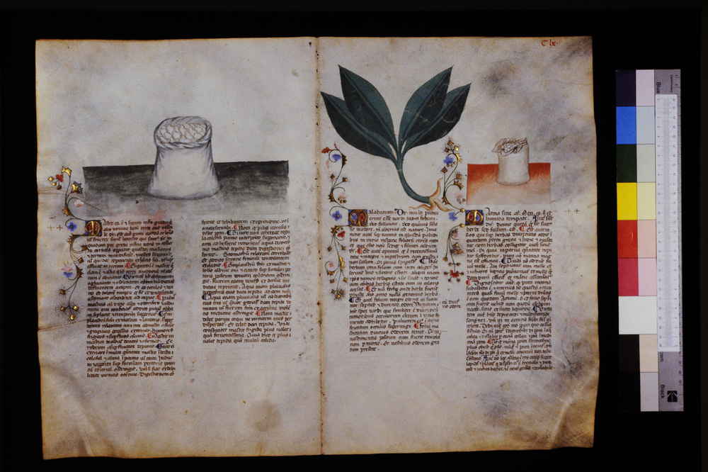 Roma, Biblioteca Casanatense, Ms. 459
icpal_29673
Keywords: Casanatense Ms. 459, Casanatense