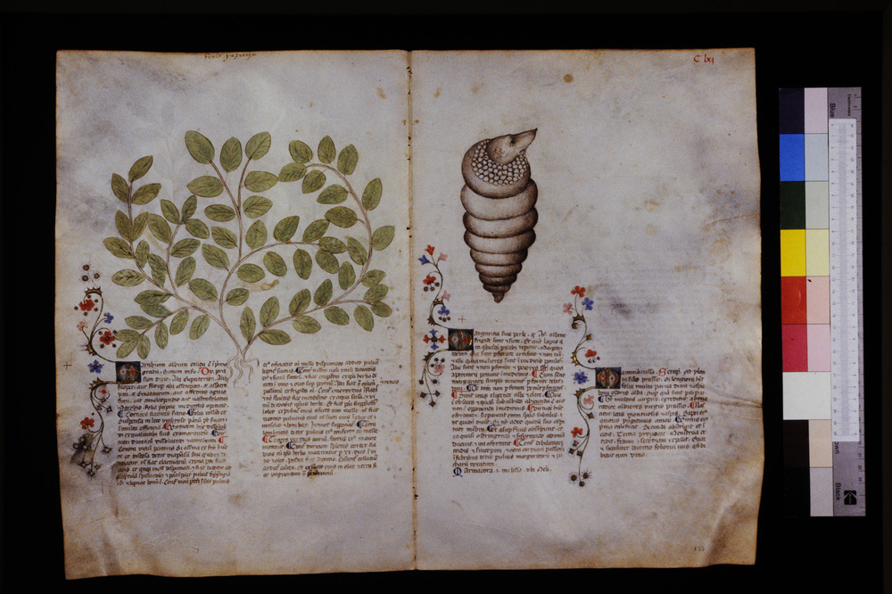 Roma, Biblioteca Casanatense, Ms. 459
icpal_29674
Keywords: Casanatense Ms. 459, Casanatense