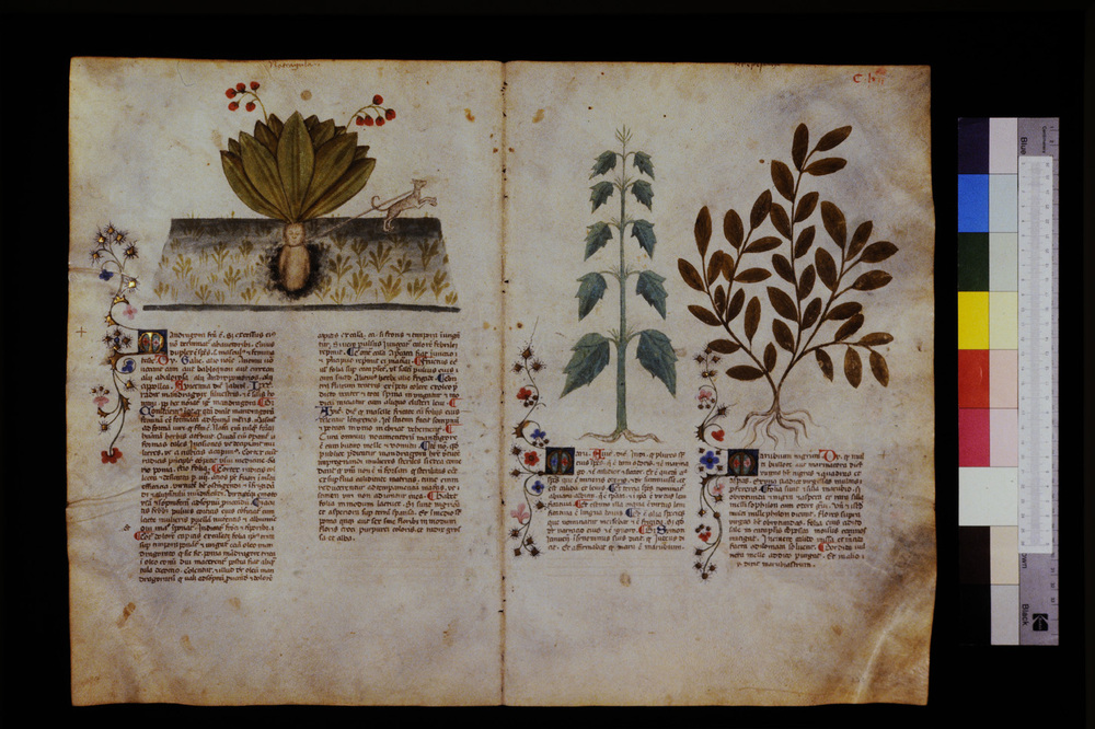 Roma, Biblioteca Casanatense, Ms. 459
icpal_29675
Keywords: Casanatense Ms. 459, Casanatense