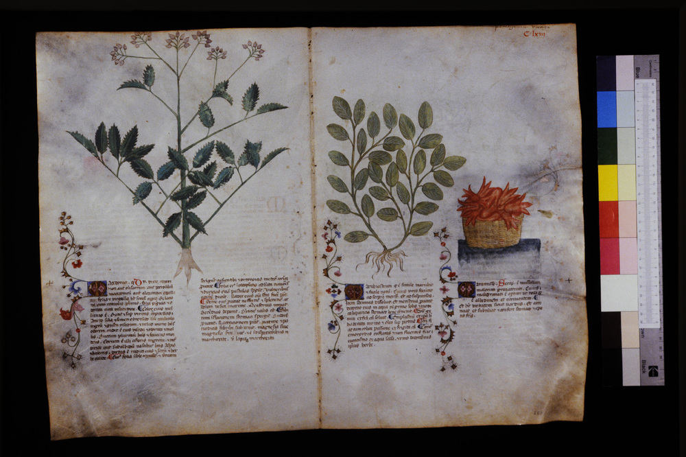 Roma, Biblioteca Casanatense, Ms. 459
icpal_29676
Keywords: Casanatense Ms. 459, Casanatense
