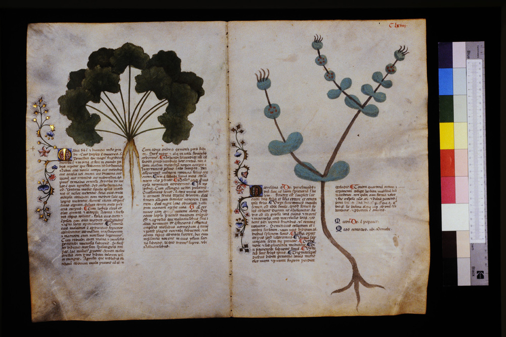 Roma, Biblioteca Casanatense, Ms. 459
icpal_29677
Keywords: Casanatense Ms. 459, Casanatense