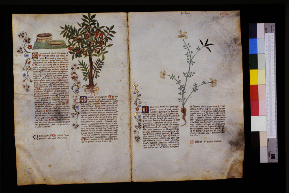 Roma, Biblioteca Casanatense, Ms. 459
icpal_29679
Keywords: Casanatense Ms. 459, Casanatense