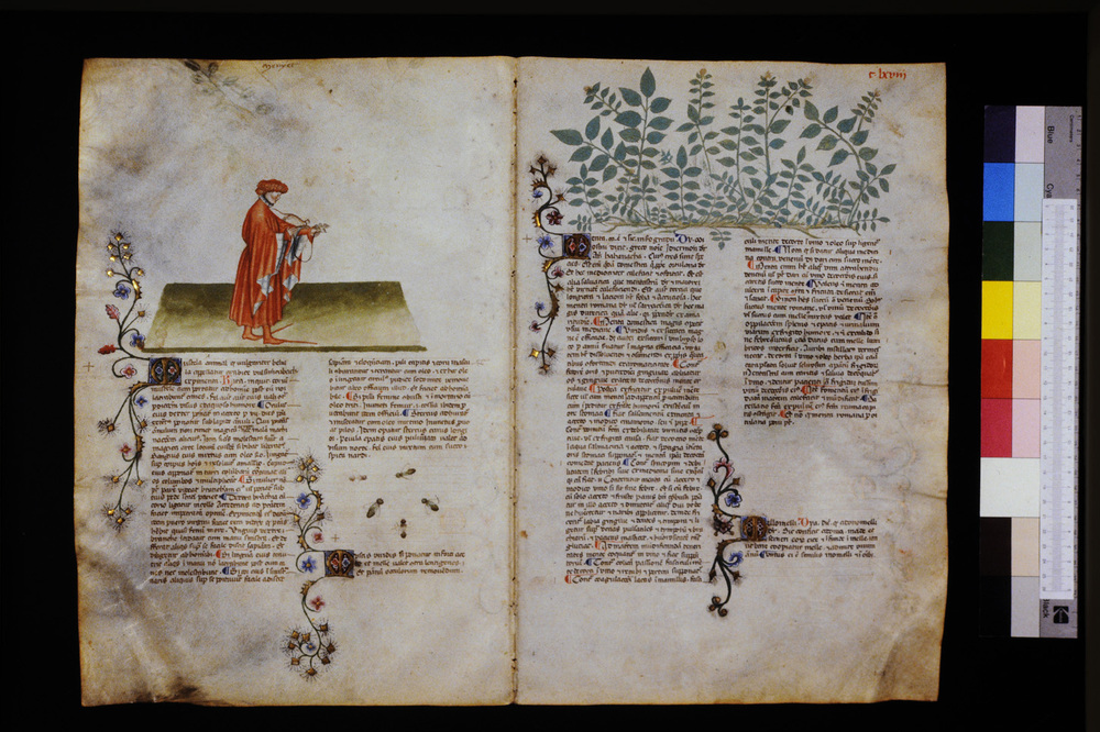 Roma, Biblioteca Casanatense, Ms. 459
icpal_29681
Keywords: Casanatense Ms. 459, Casanatense