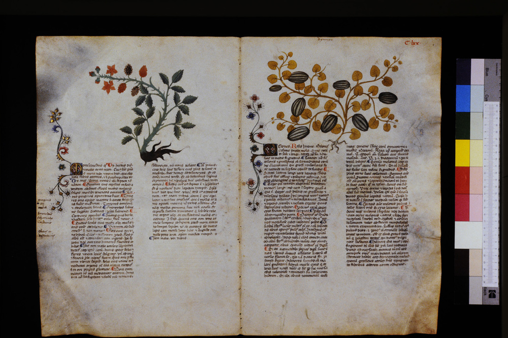 Roma, Biblioteca Casanatense, Ms. 459
icpal_29683
Keywords: Casanatense Ms. 459, Casanatense