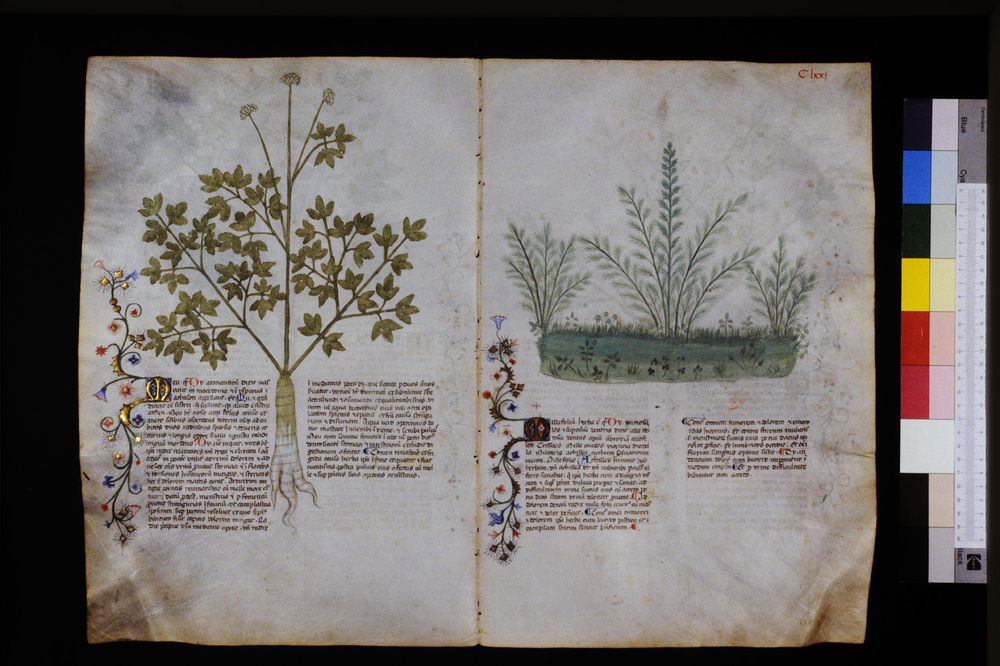 Roma, Biblioteca Casanatense, Ms. 459
icpal_29684
Keywords: Casanatense Ms. 459, Casanatense