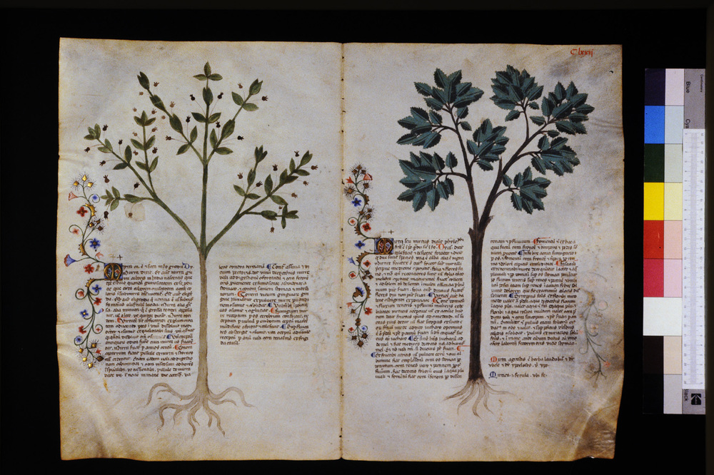 Roma, Biblioteca Casanatense, Ms. 459
icpal_29685
Keywords: Casanatense Ms. 459, Casanatense