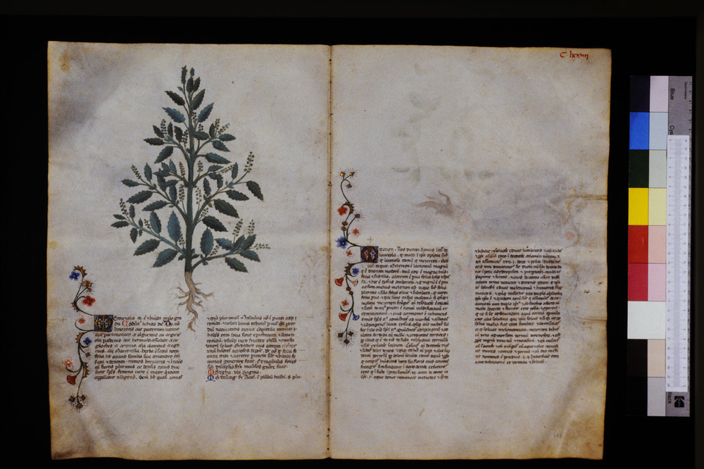 Roma, Biblioteca Casanatense, Ms. 459
icpal_29687
Keywords: Casanatense Ms. 459, Casanatense