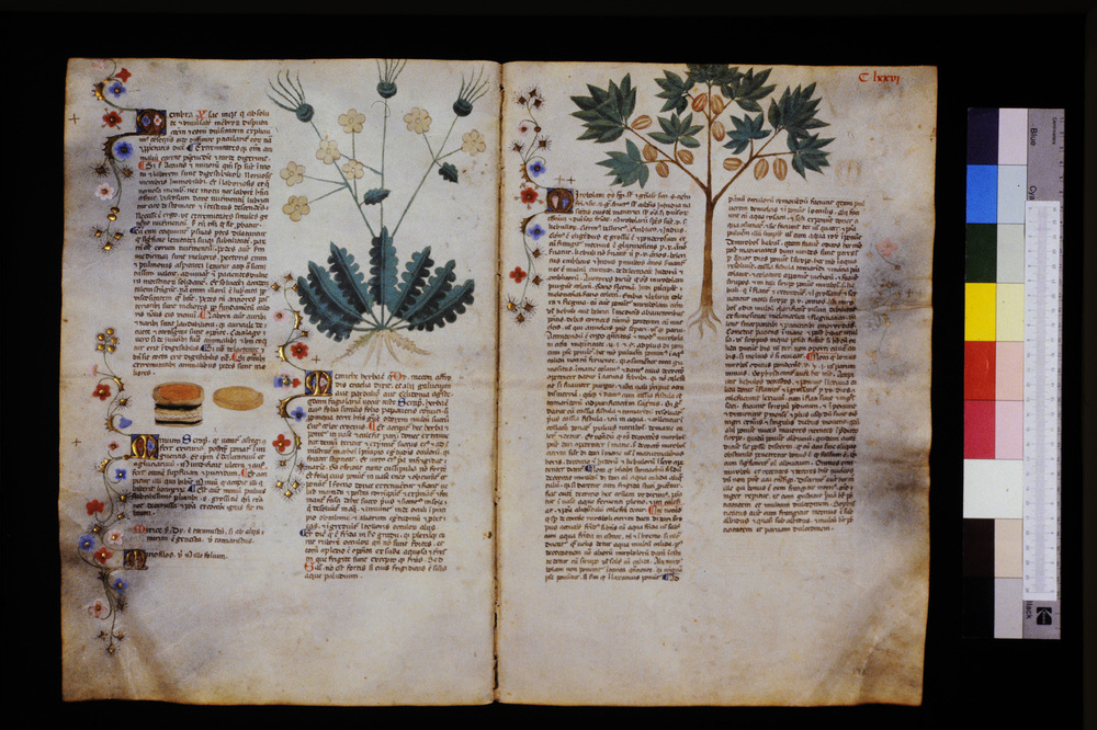 Roma, Biblioteca Casanatense, Ms. 459
icpal_29689
Keywords: Casanatense Ms. 459, Casanatense