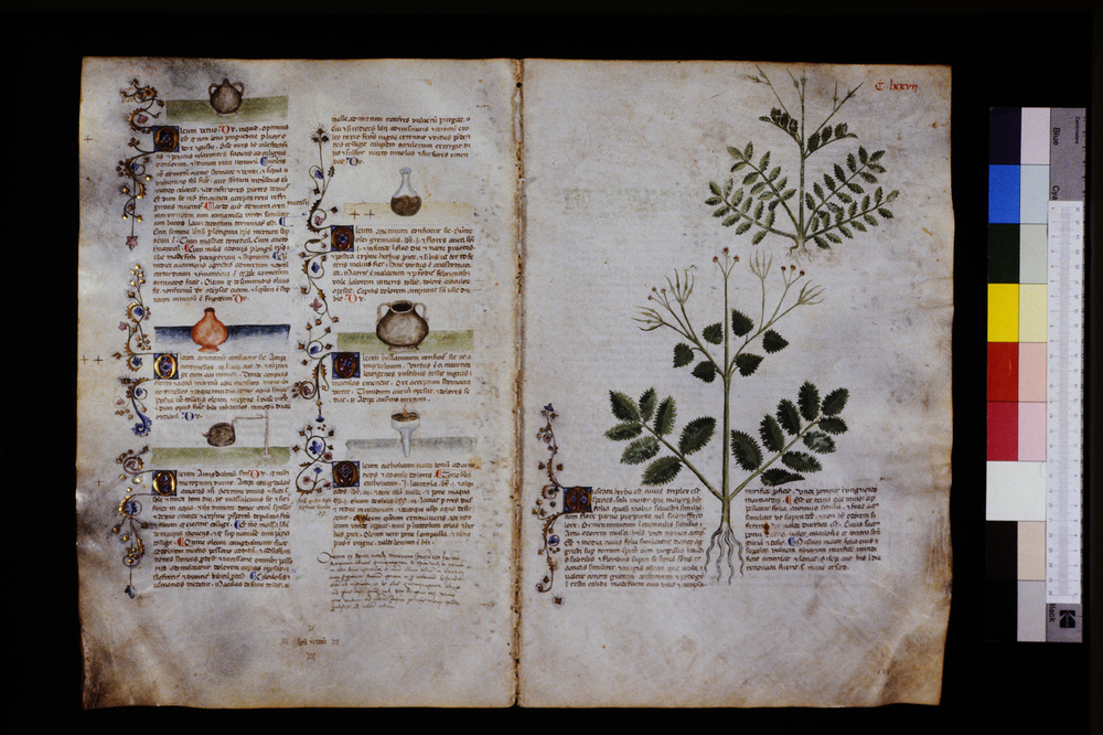 Roma, Biblioteca Casanatense, Ms. 459
icpal_29690
Keywords: Casanatense Ms. 459, Casanatense