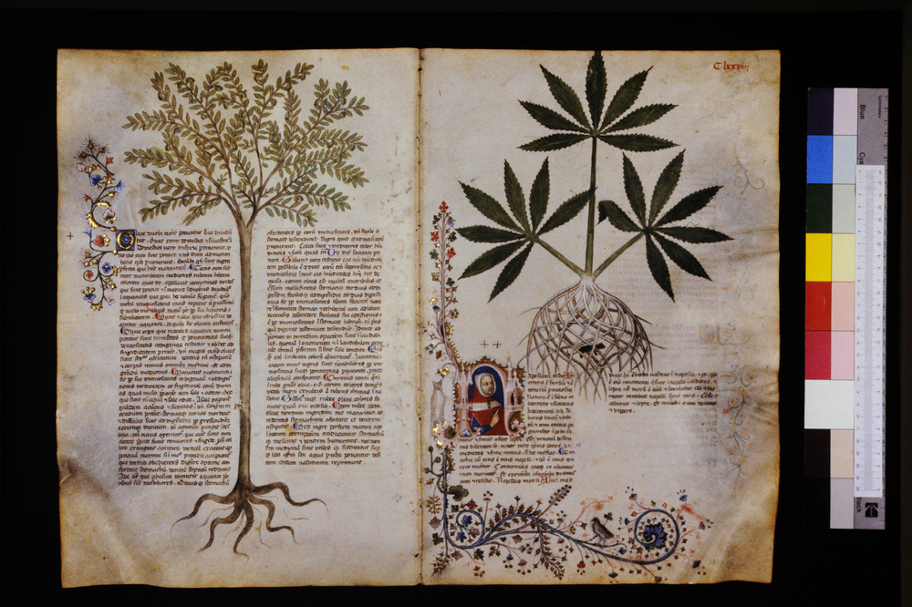 Roma, Biblioteca Casanatense, Ms. 459
icpal_29691
Keywords: Casanatense Ms. 459, Casanatense