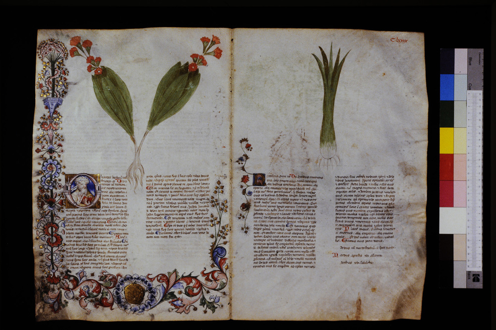 Roma, Biblioteca Casanatense, Ms. 459
icpal_29692
Keywords: Casanatense Ms. 459, Casanatense