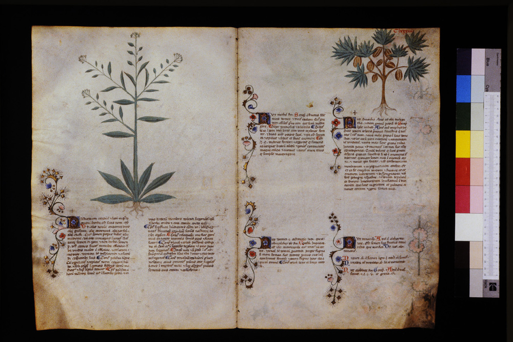 Roma, Biblioteca Casanatense, Ms. 459
icpal_29697
Keywords: Casanatense Ms. 459, Casanatense